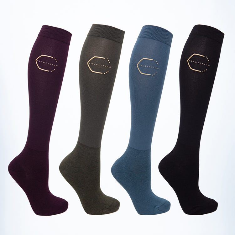 Coldstream Next Generation Ednam Socks image 1